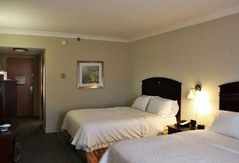 בית מלון כפרי Hampton Inn Americus