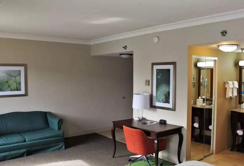 בית מלון כפרי Hampton Inn Americus