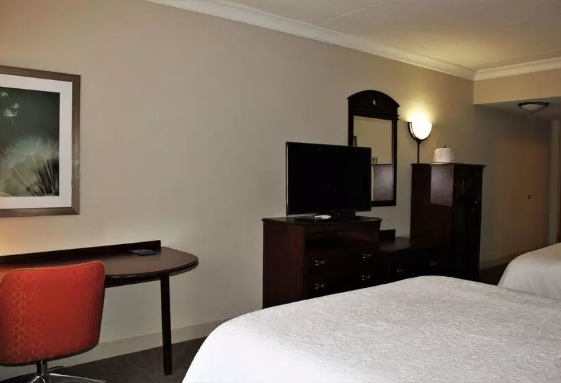 בית מלון כפרי Hampton Inn Americus