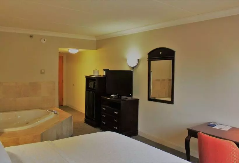 בית מלון כפרי Hampton Inn Americus