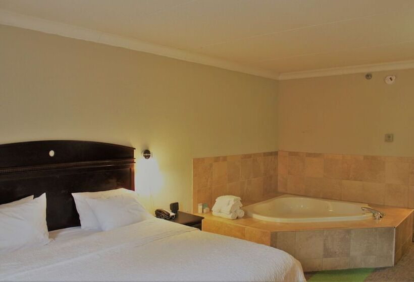 호텔 Hampton Inn Americus