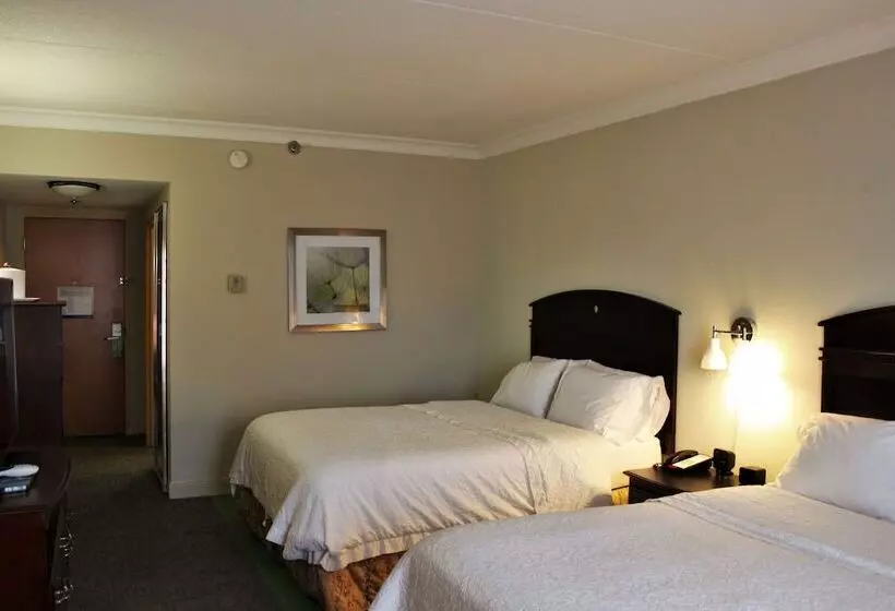 בית מלון כפרי Hampton Inn Americus