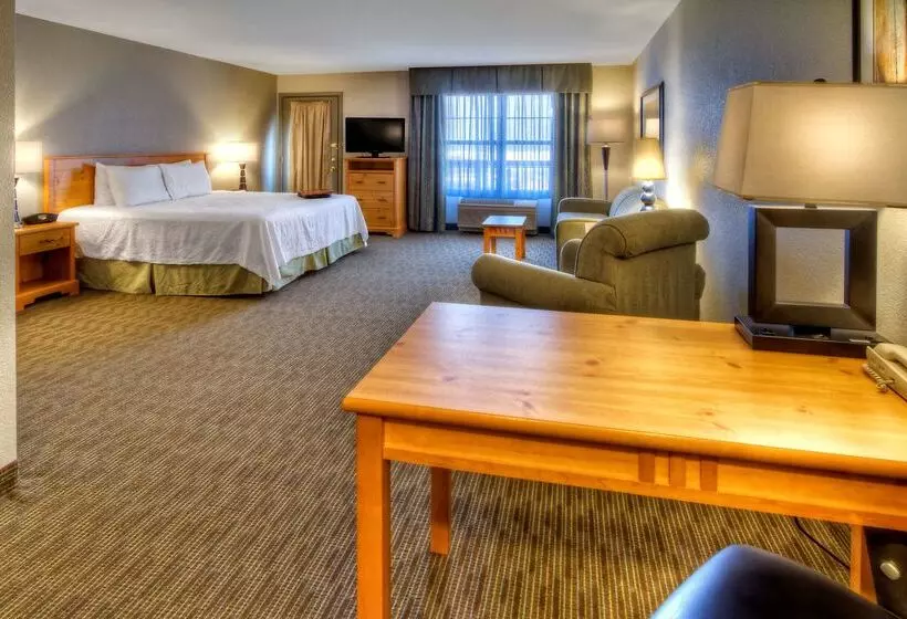فندق Hampton Inn & Suites By Hilton Petoskey