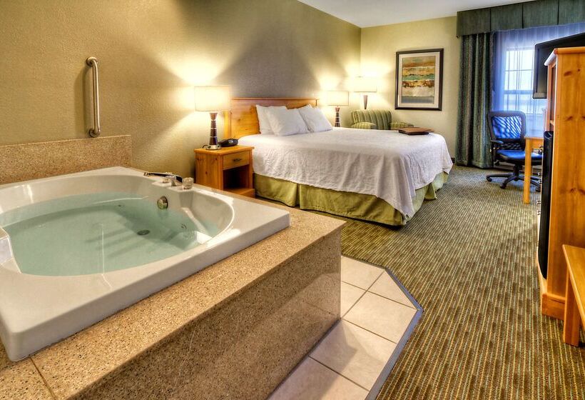 ホテル Hampton Inn & Suites By Hilton Petoskey