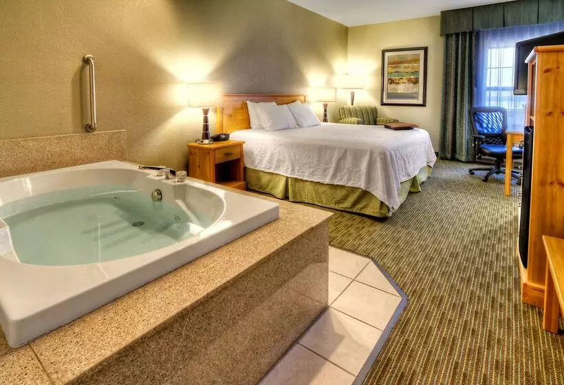 فندق Hampton Inn & Suites By Hilton Petoskey