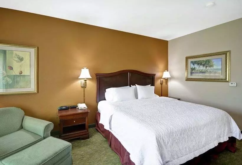 Отель Hampton Inn Corpus Christinorthwest I37