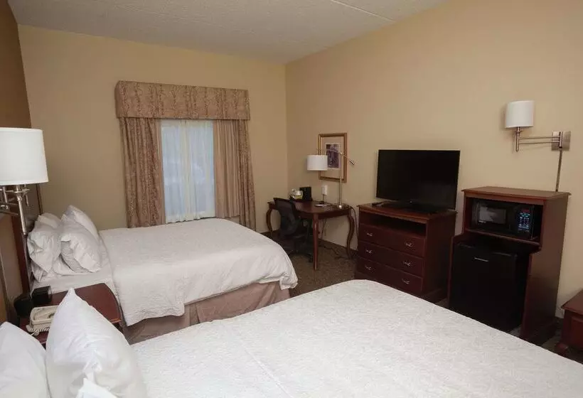 فندق Hampton Inn Oneonta