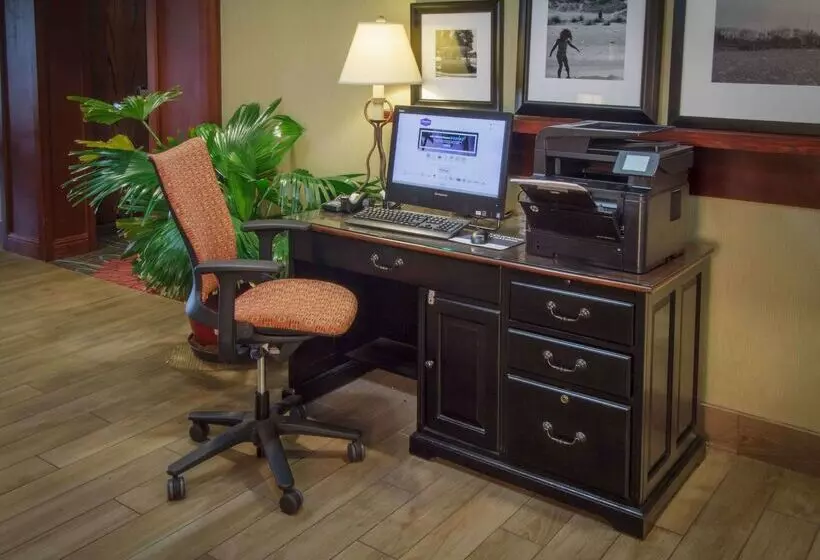 בית מלון כפרי Hampton Inn South Haven