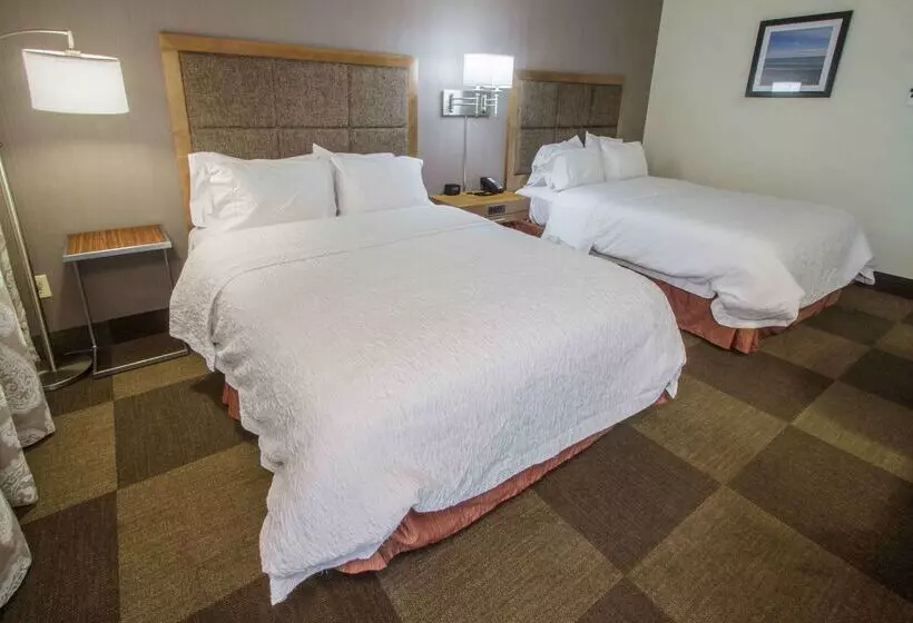 בית מלון כפרי Hampton Inn South Haven