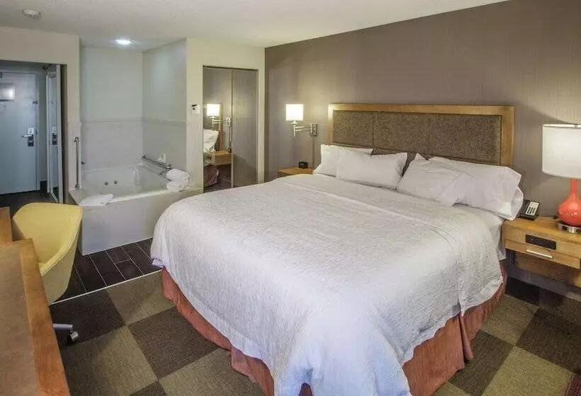 בית מלון כפרי Hampton Inn South Haven