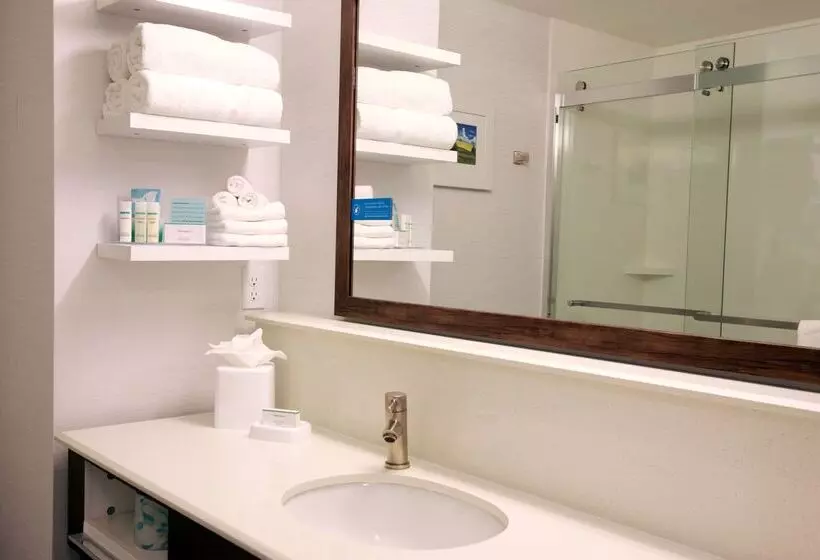 בית מלון כפרי Hampton Inn & Suites Boise/nampa At The Idaho Center