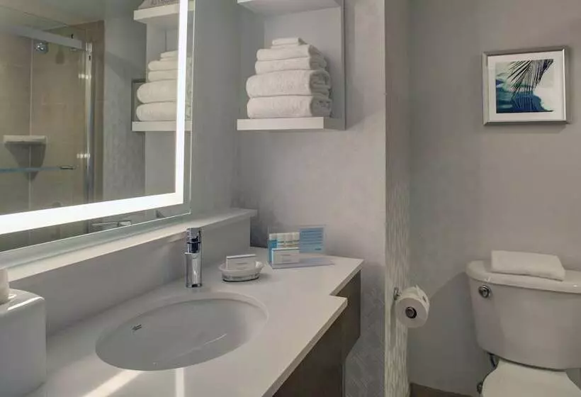 Otel Hampton Inn & Suites Miamiairport Southblue Lagoon