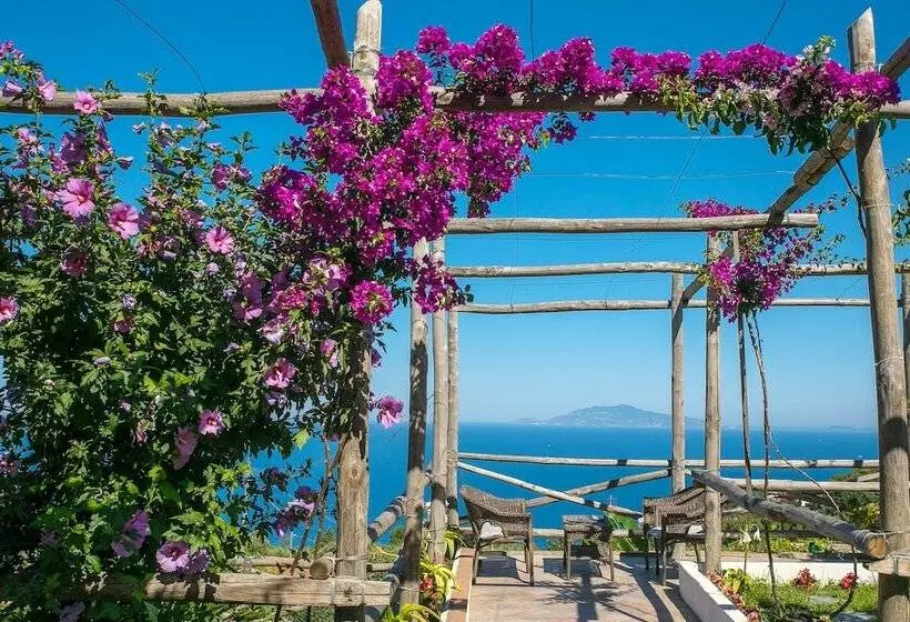 בית מלון כפרי Il Girasole