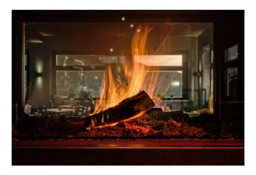 酒店 Antico Albergo Stella D Italia