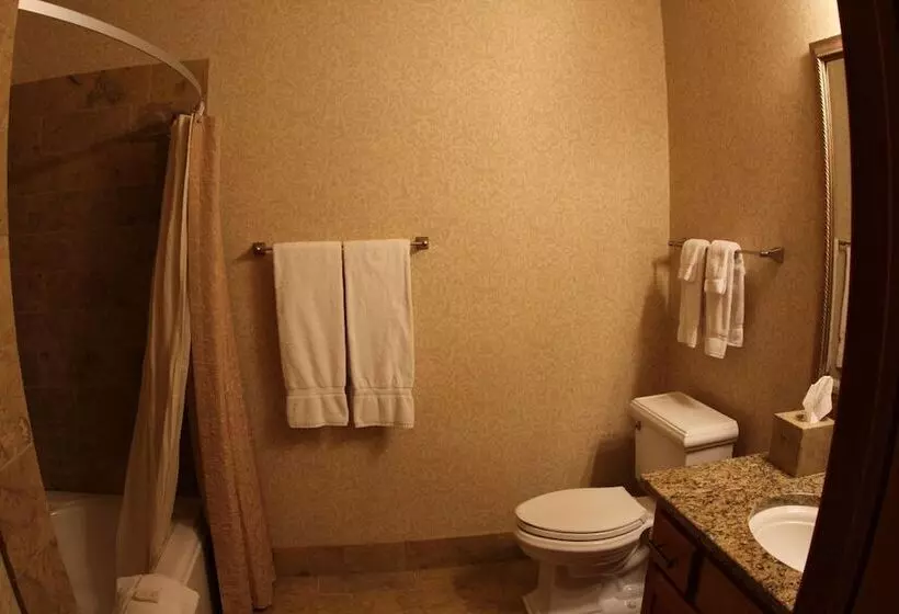 ホテル The Osthoff Resort