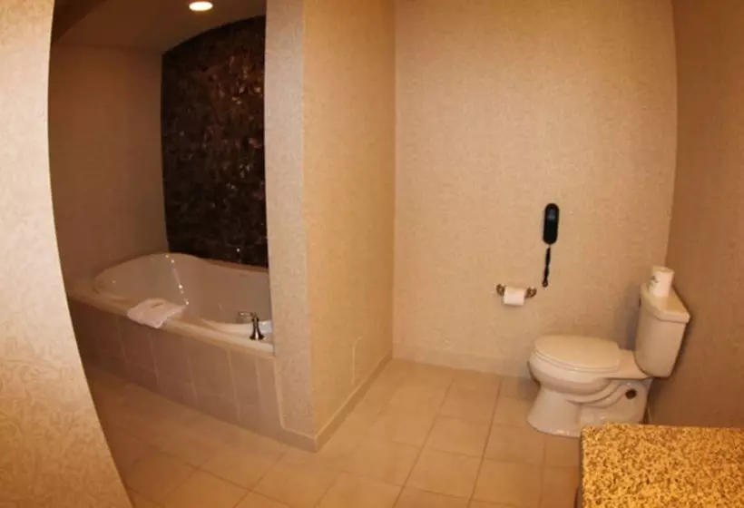 ホテル The Osthoff Resort