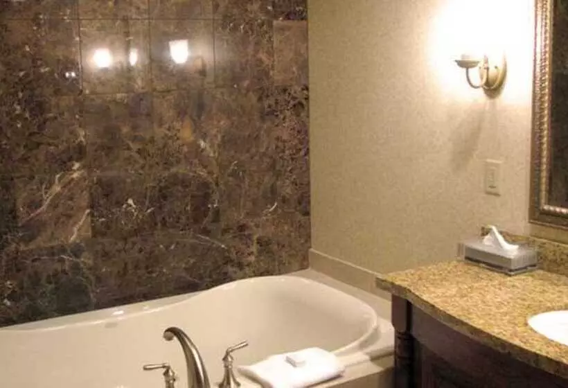 ホテル The Osthoff Resort