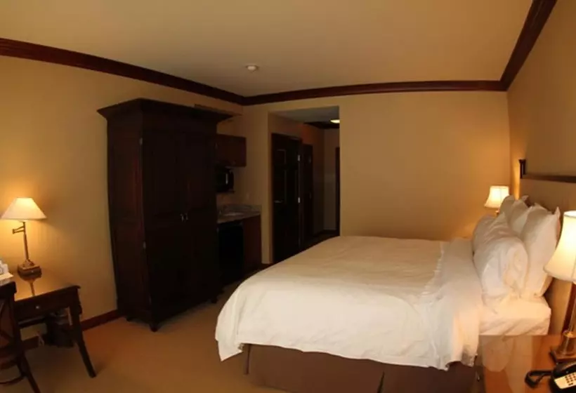 ホテル The Osthoff Resort