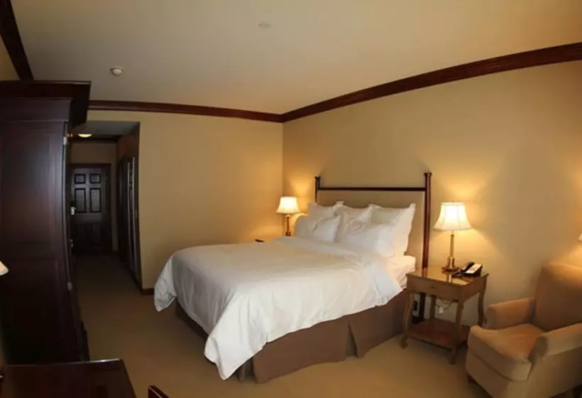 ホテル The Osthoff Resort