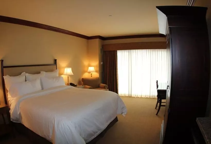 ホテル The Osthoff Resort