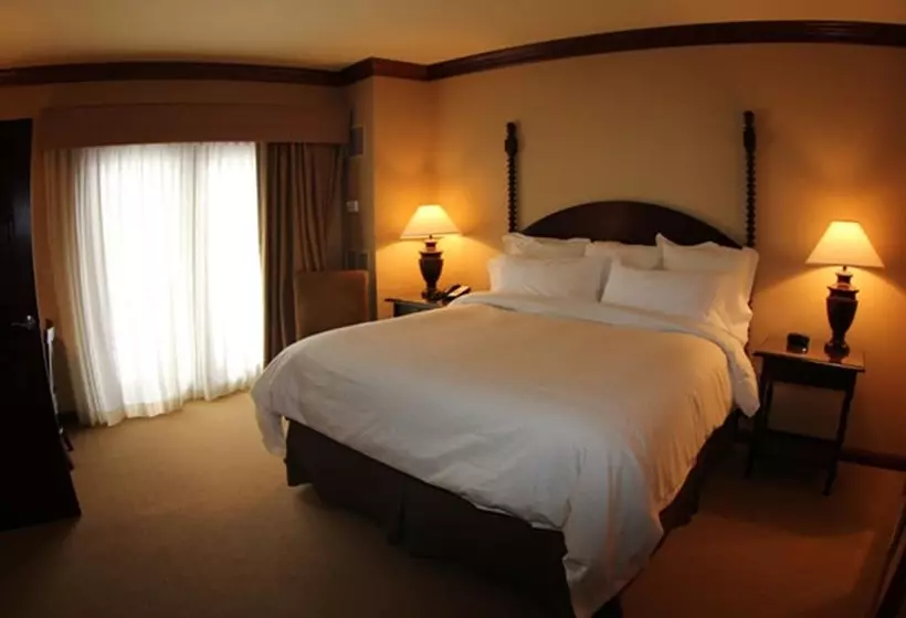 ホテル The Osthoff Resort