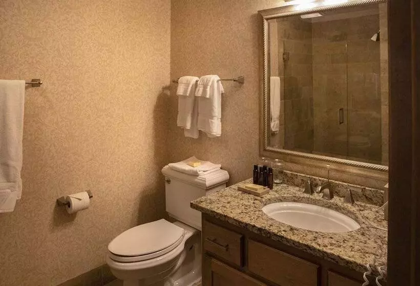 ホテル The Osthoff Resort