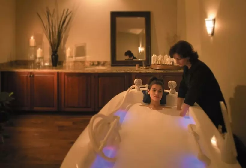 ホテル The Osthoff Resort