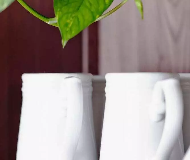 בית מלון כפרי Villa Ambrosina