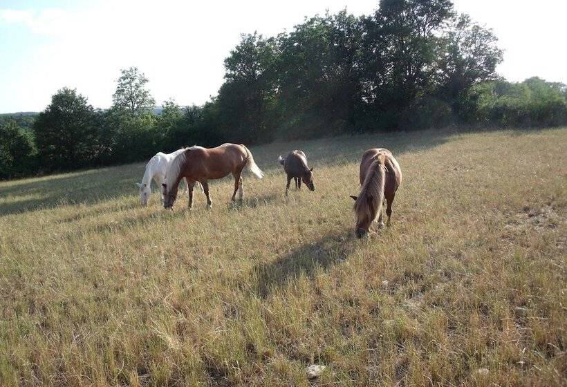 פנסיון Maison D Hote Le Relais De Morville