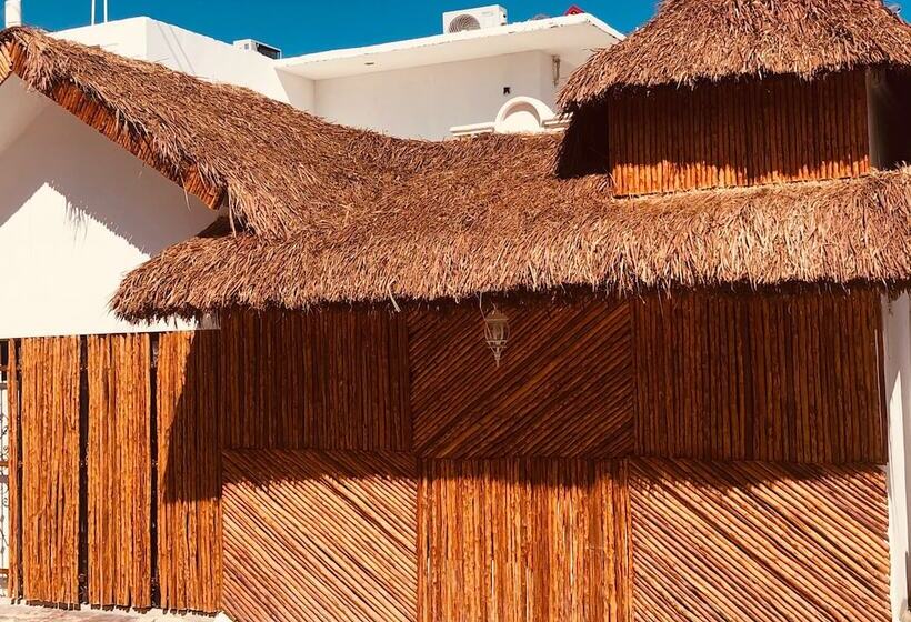 مبيت وإفطار Casa Bizu