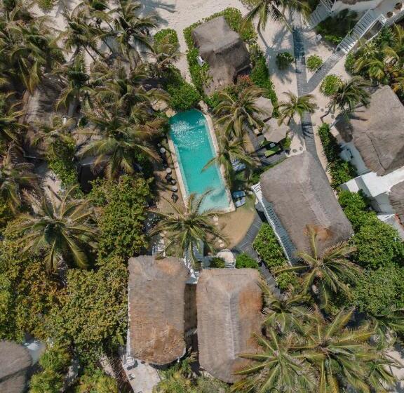 Hotel Coco Unlimited