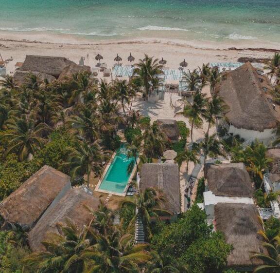 Hotel Coco Unlimited