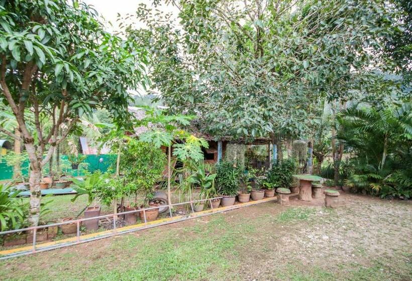 Hotel Oyo 75312 Banana Lodge