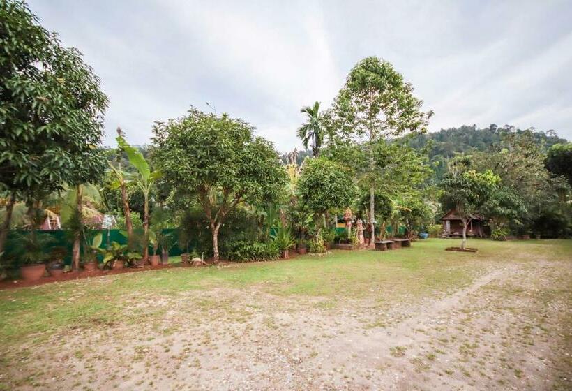 Hotel Oyo 75312 Banana Lodge