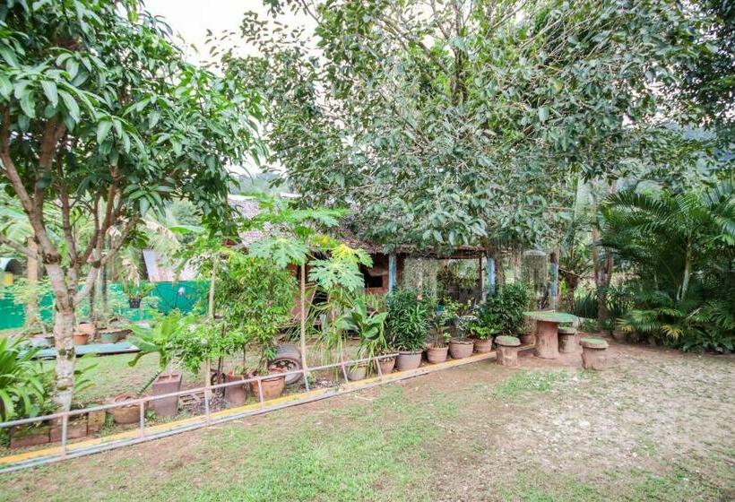 Hotel Oyo 75312 Banana Lodge