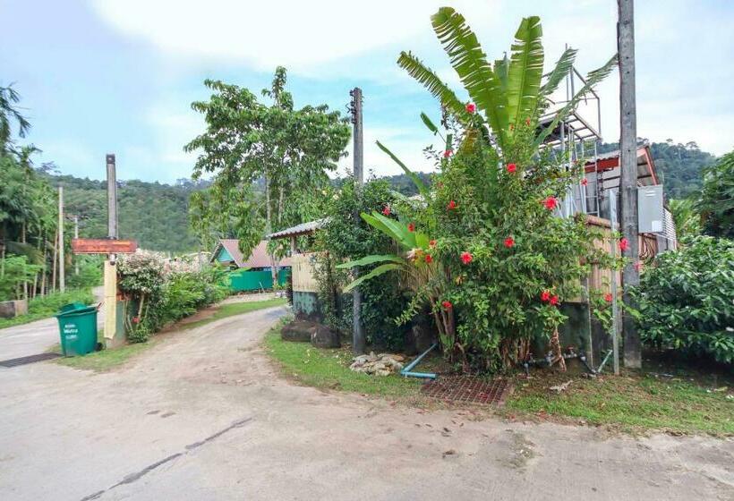 Hotel Oyo 75312 Banana Lodge