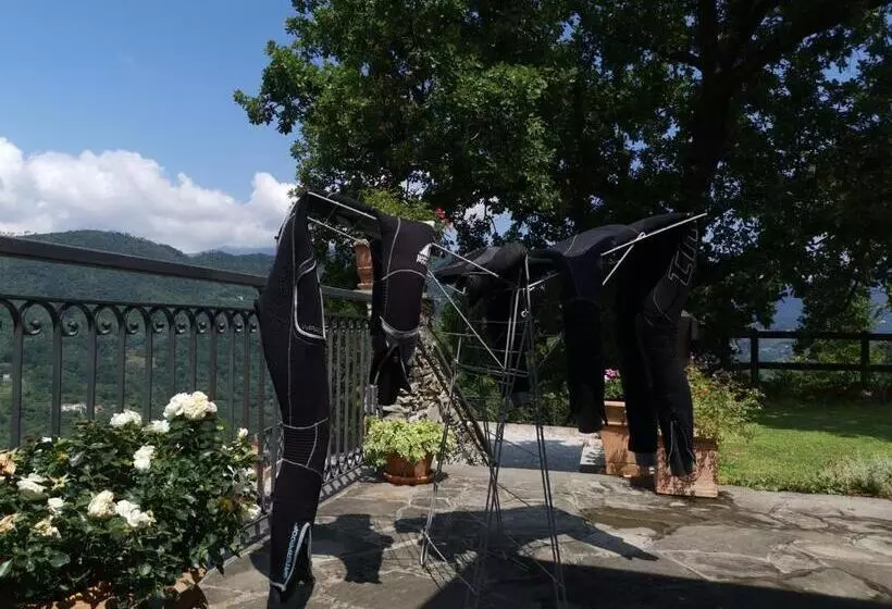 Aamiaismajoitus (B&B) Elsa House