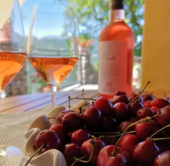 Aamiaismajoitus (B&B) Elsa House