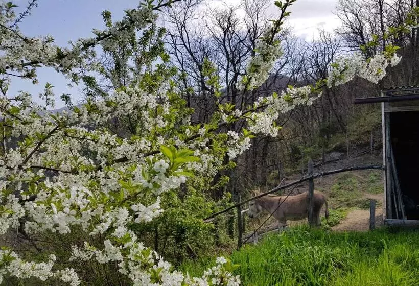 Aamiaismajoitus (B&B) Elsa House