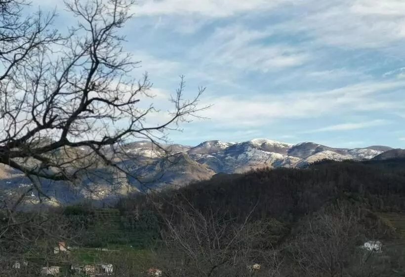 Aamiaismajoitus (B&B) Elsa House