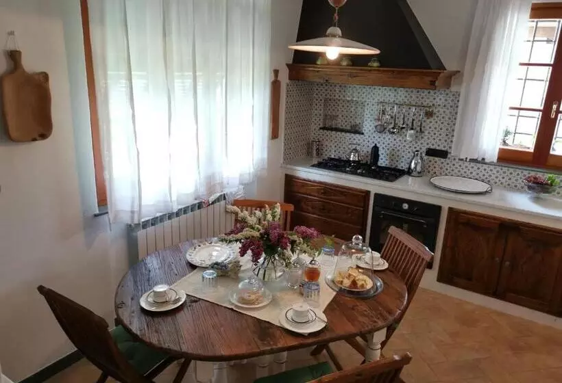 Aamiaismajoitus (B&B) Elsa House