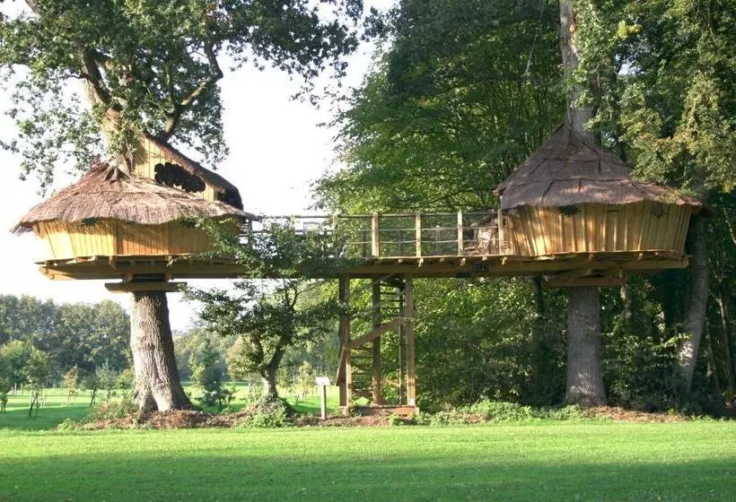 Aamiaismajoitus (B&B) Insolite Dans Les Arbres Les Ormes, Epiniac