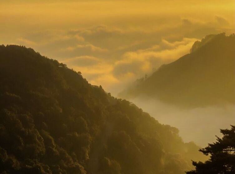 בית מלון כפרי Ayar Jungle Resort