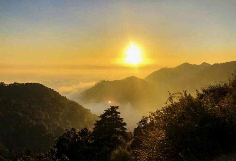 בית מלון כפרי Ayar Jungle Resort