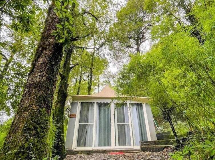 בית מלון כפרי Ayar Jungle Resort