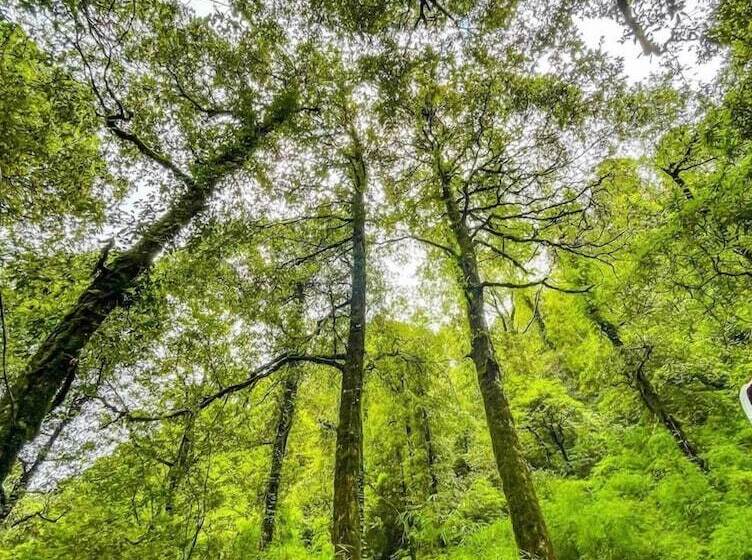 בית מלון כפרי Ayar Jungle Resort