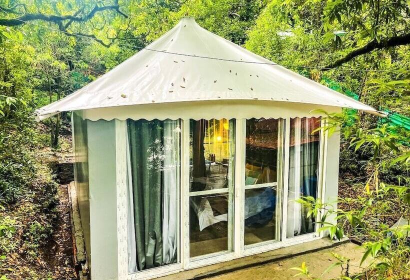 בית מלון כפרי Ayar Jungle Resort