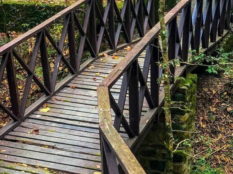 בית מלון כפרי Ayar Jungle Resort