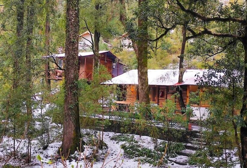 בית מלון כפרי Ayar Jungle Resort