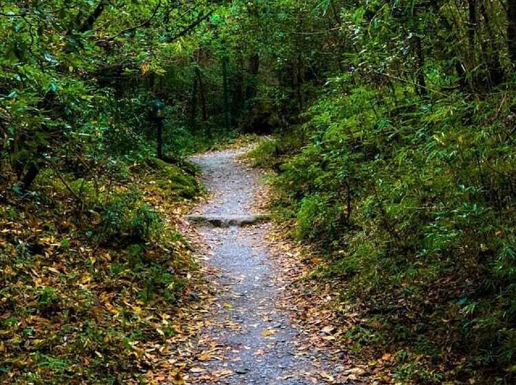 בית מלון כפרי Ayar Jungle Resort